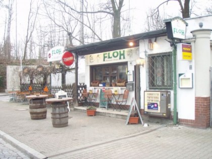 Photo: Floh